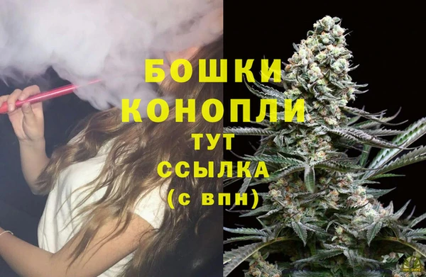 амф Богданович